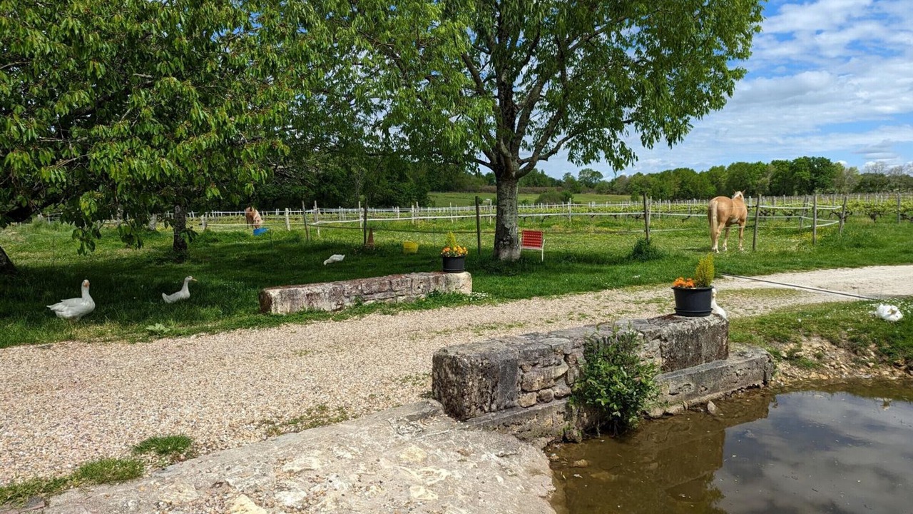 Photo of Outdoor in Saint-Sulpice-de-Cognac