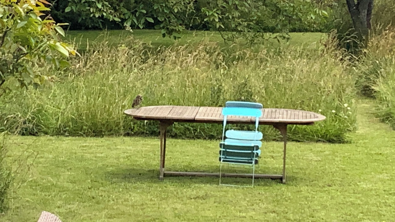 Photo of Others in Valojoulx