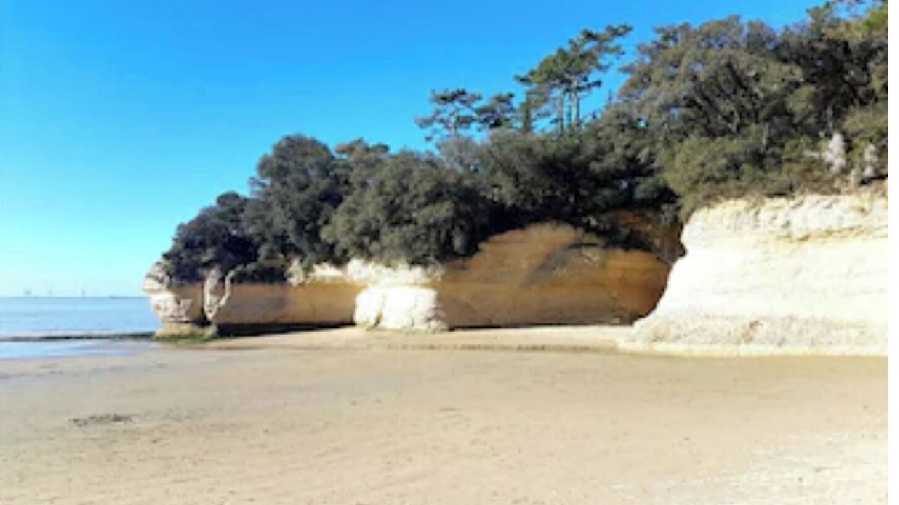 Photo of Others in Meschers-sur-Gironde