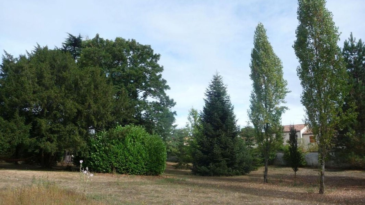 Photo of Outdoor in Cognac