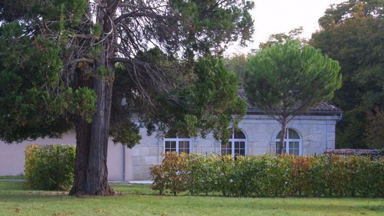 Photo of Outdoor in Cognac