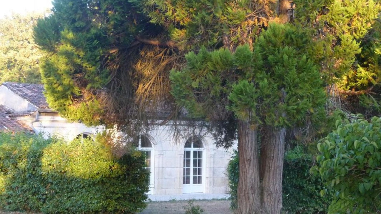 Photo of Outdoor in Cognac