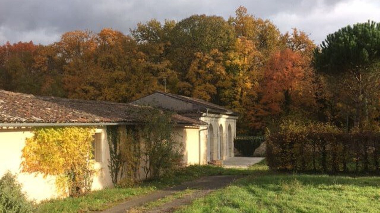 Photo of Outdoor in Cognac