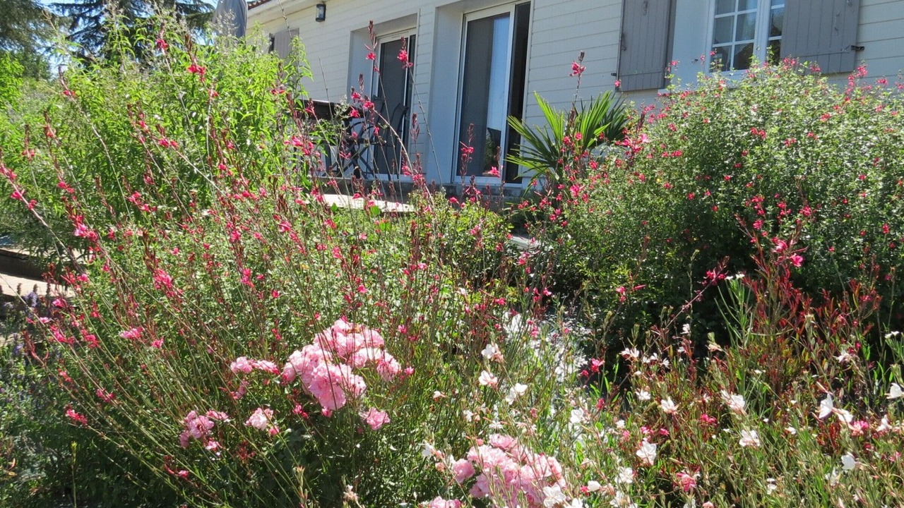 Photo of Outdoor in Oriolles