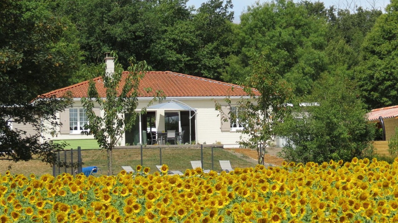 Photo of Outdoor in Oriolles