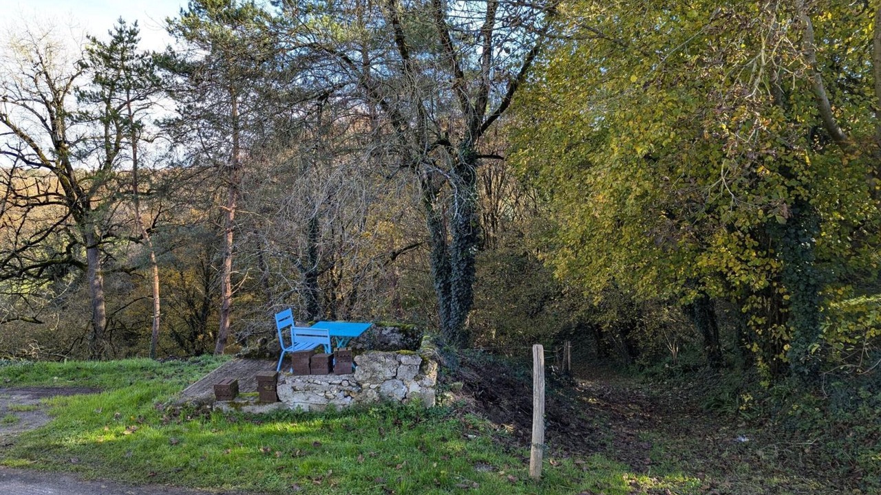 Photo of Others in Torsac