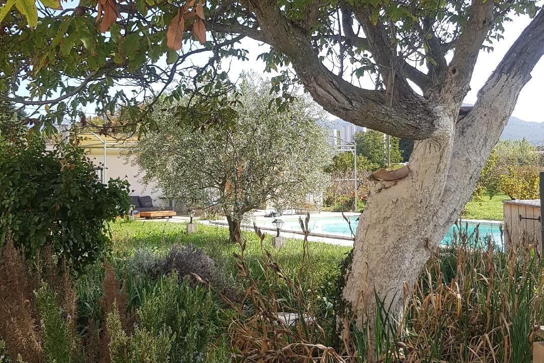 Photo of Outdoor in Violes
