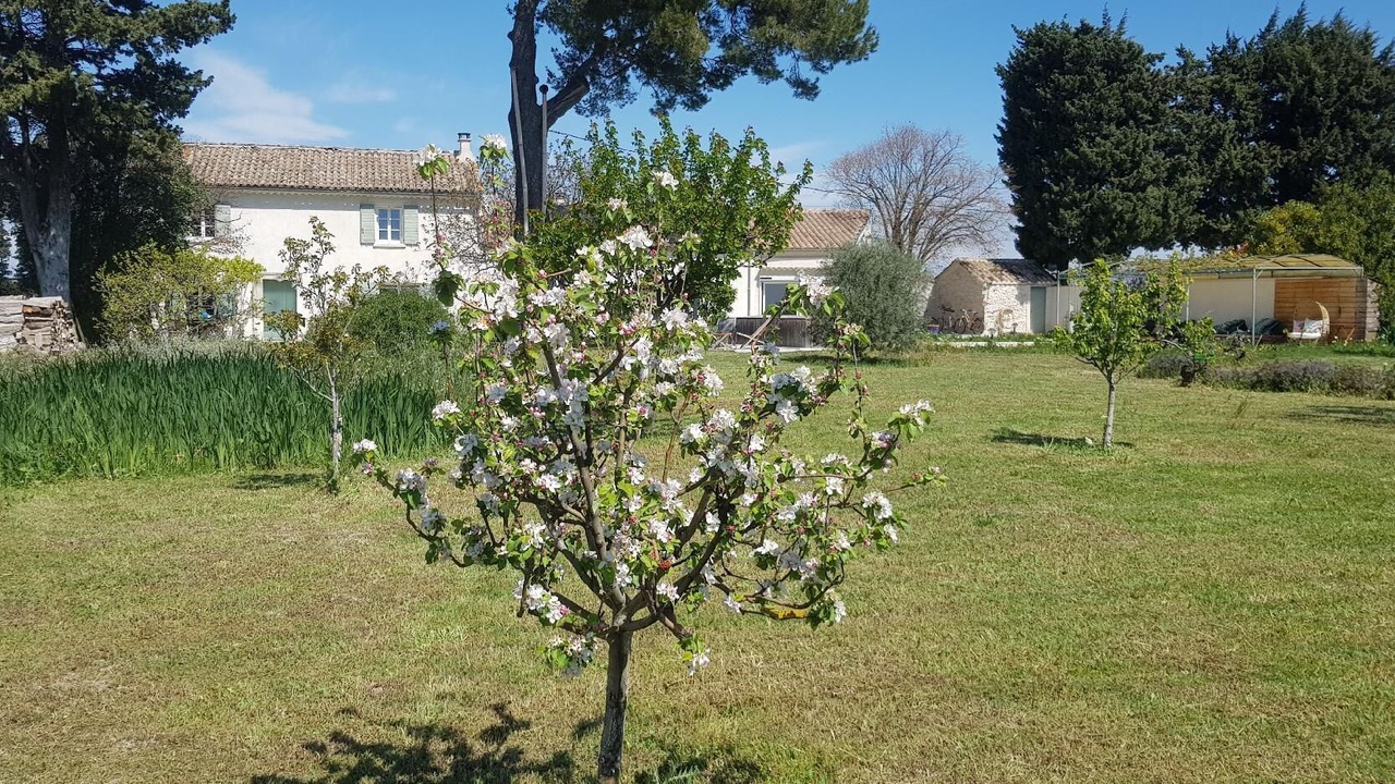 Photo of Outdoor in Violes