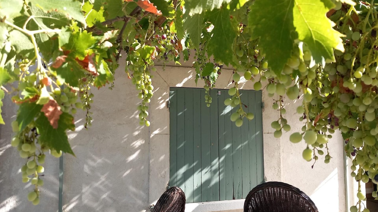 Photo of Outdoor in Violes