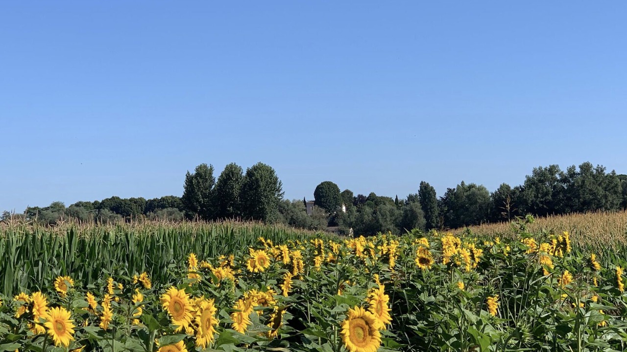 Photo of Outdoor in Gironde-sur-Dropt