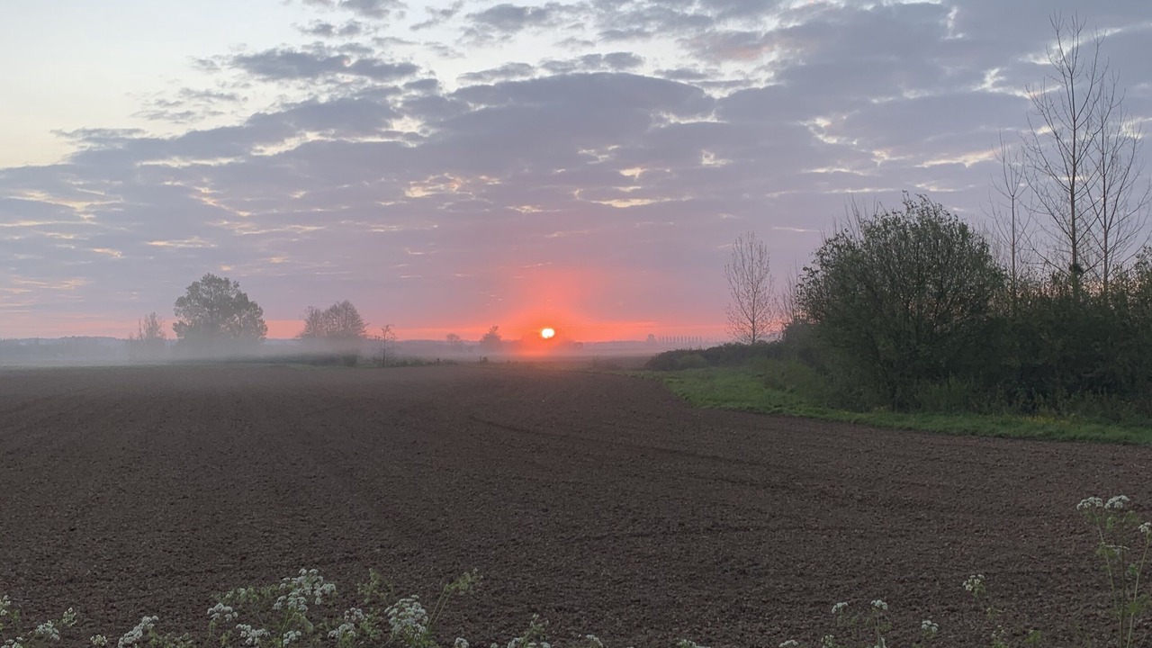 Photo of Others in Gironde-sur-Dropt
