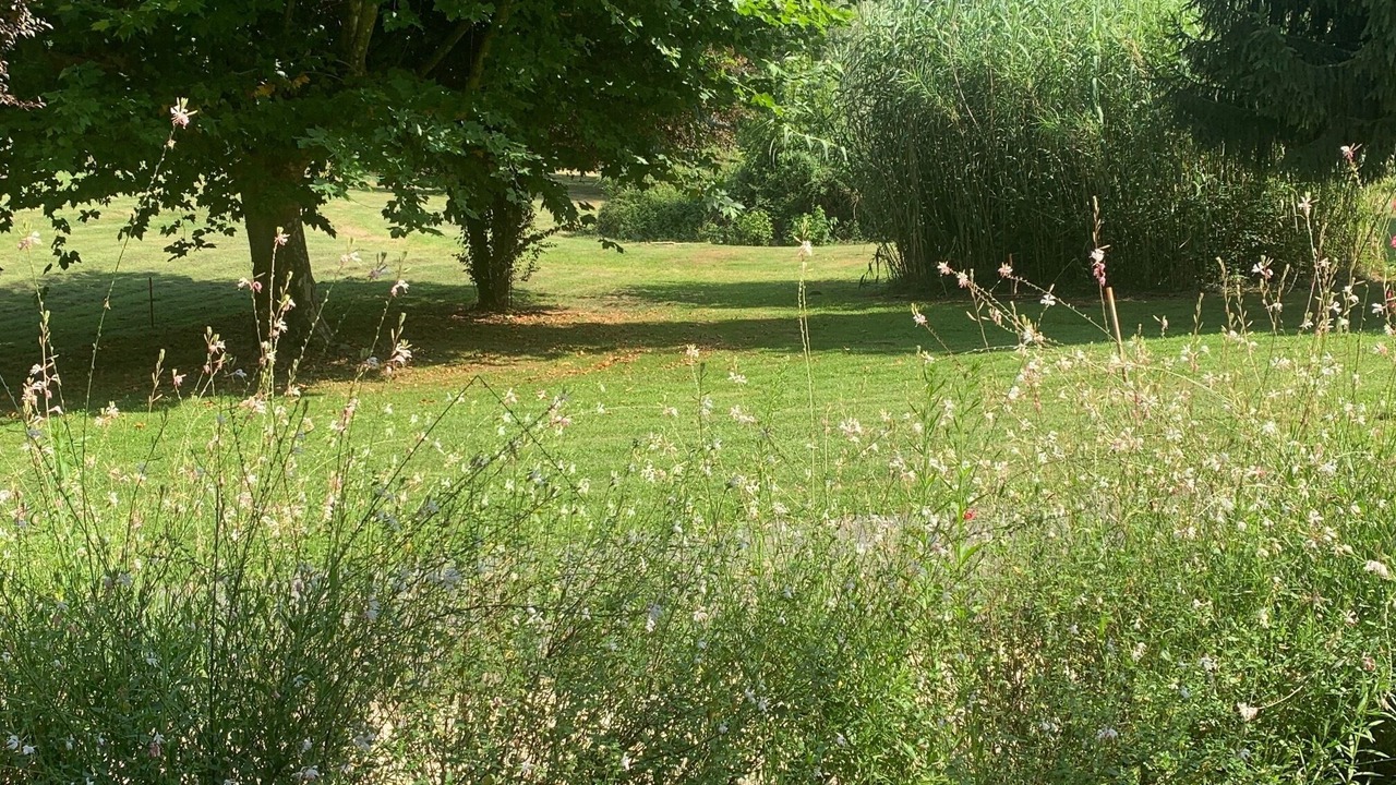 Photo of Outdoor in Saint-Crepin-et-Carlucet