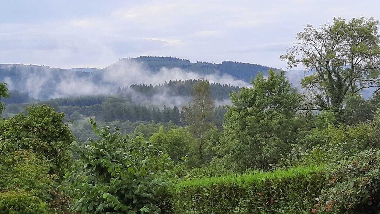 Photo of Outdoor in Beaumont-du-Lac