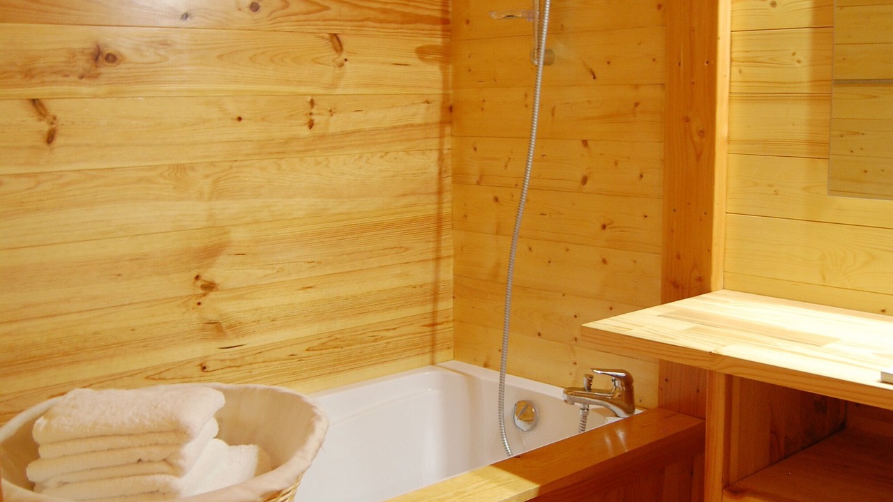 Photo of Bathroom in Thurageau