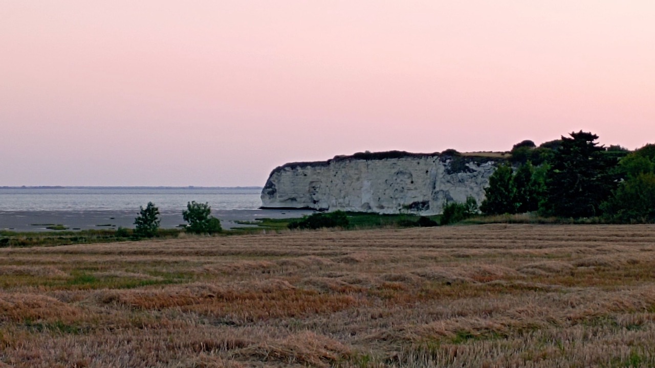 Photo of Outdoor in Chenac-Saint-Seurin-d'Uzet