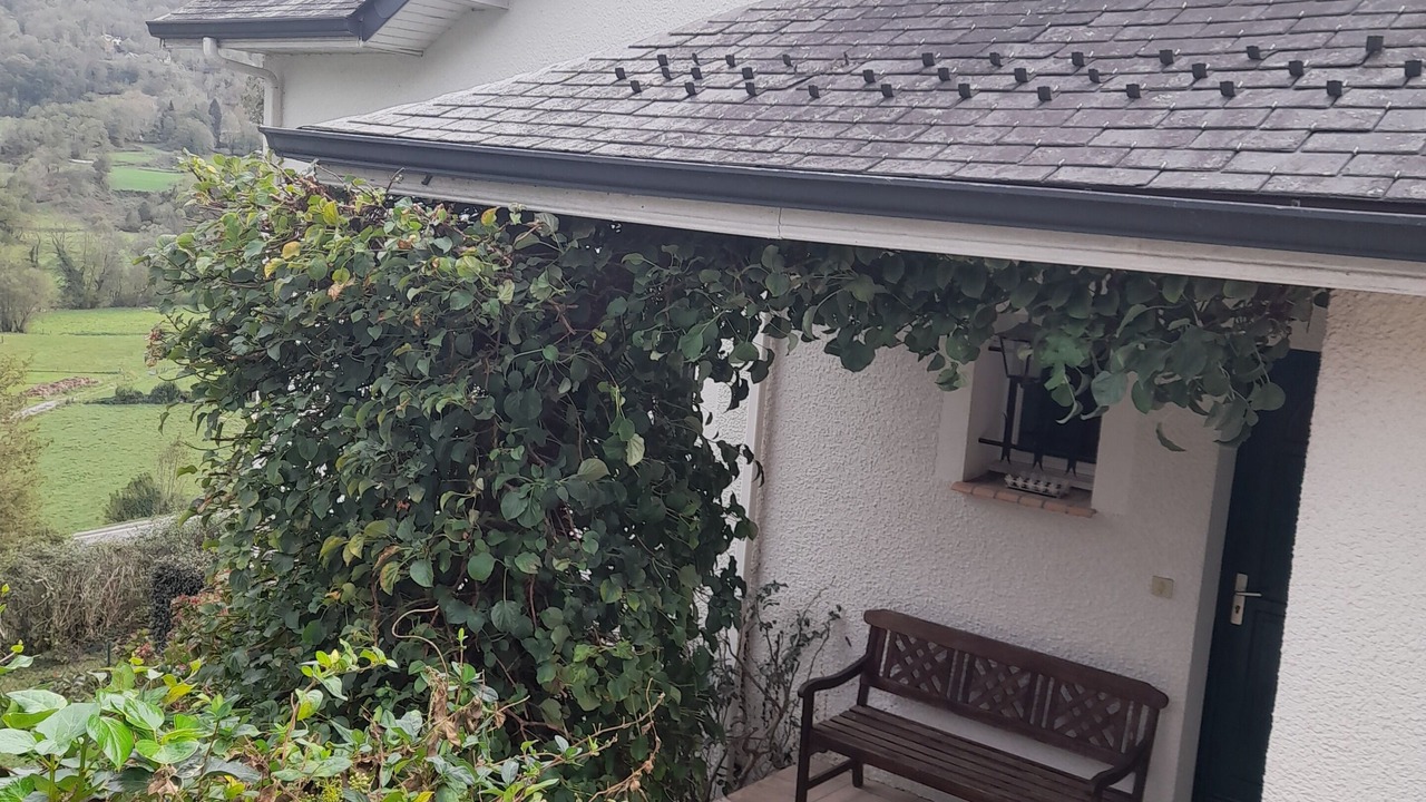 Photo of Outdoor in Laruns