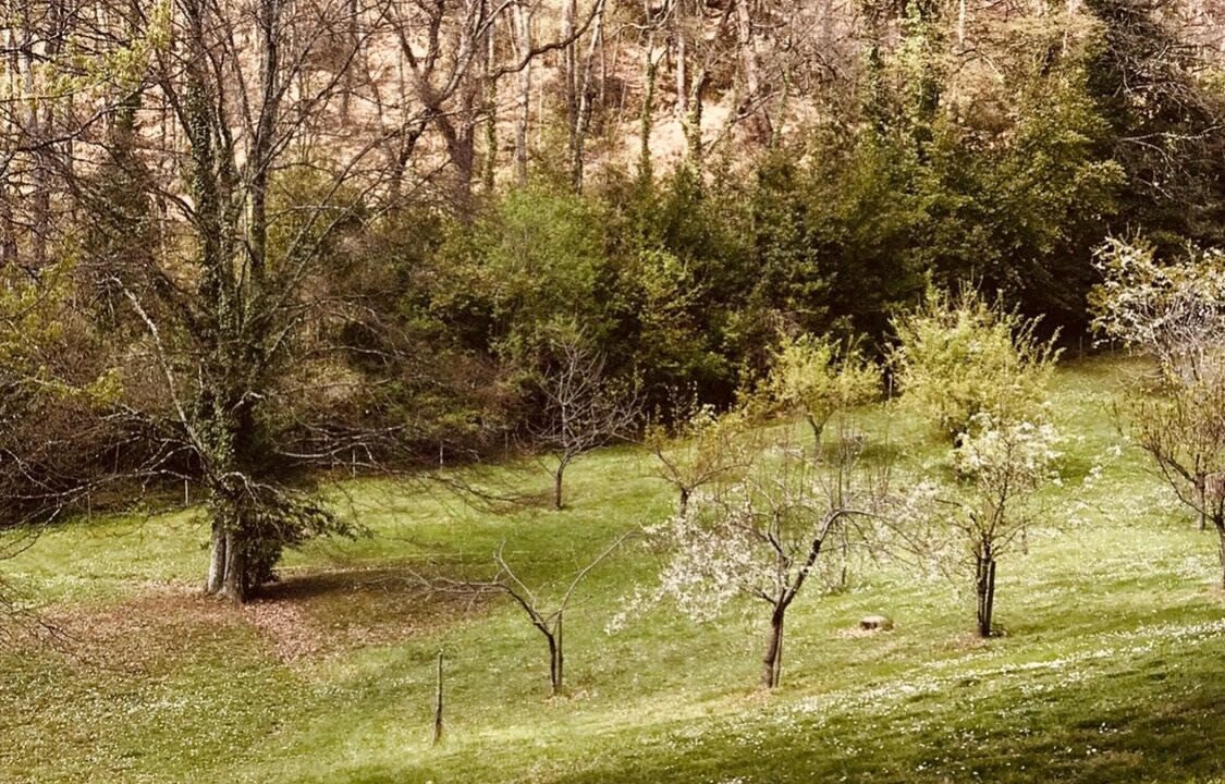 Photo of Others in Pontassieve