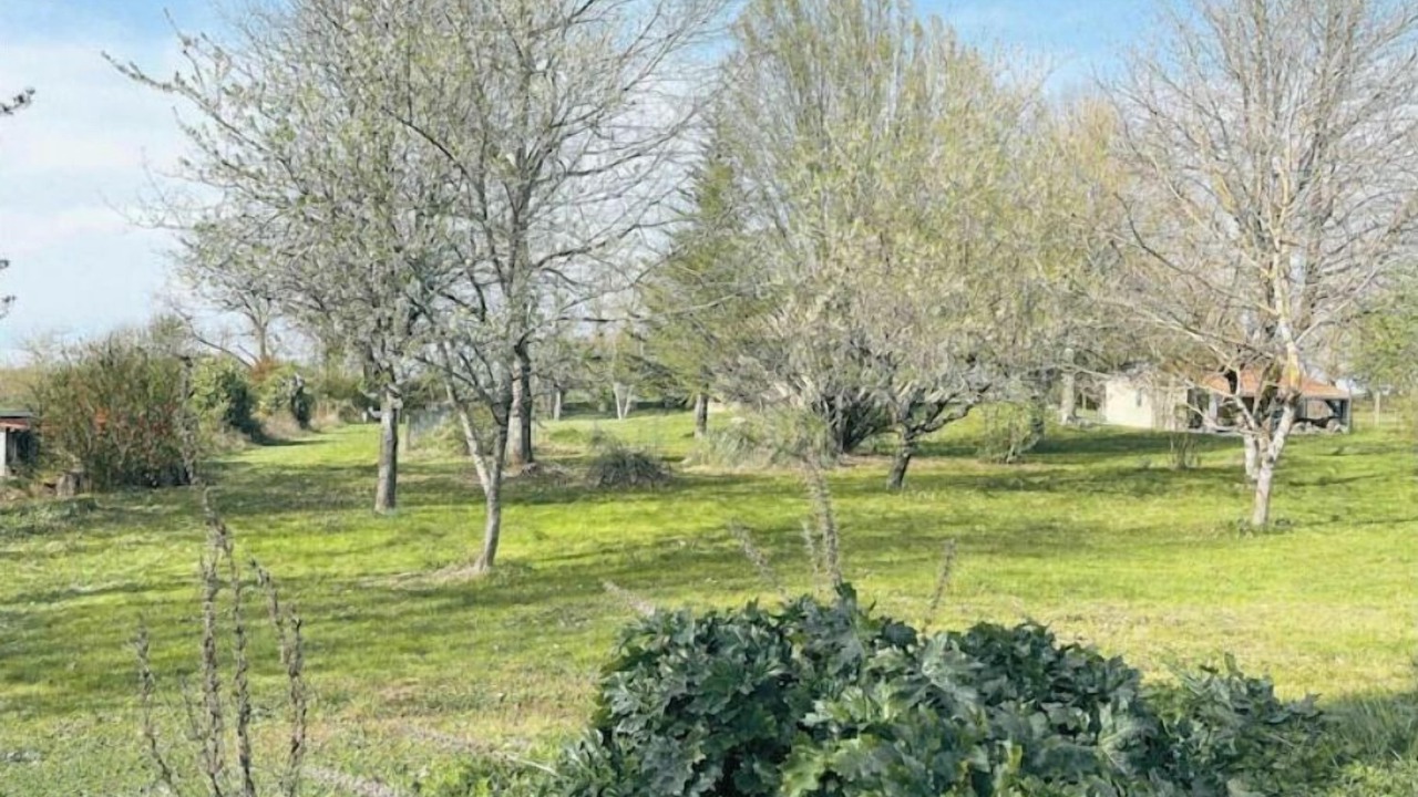Photo of Outdoor in Nerac