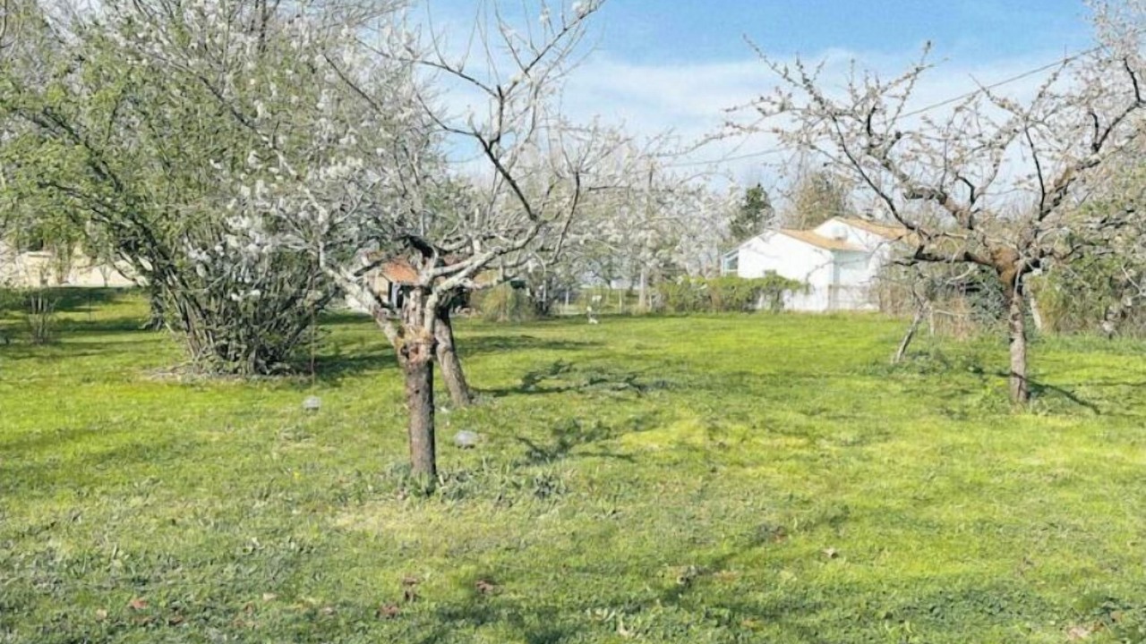 Photo of Outdoor in Nerac