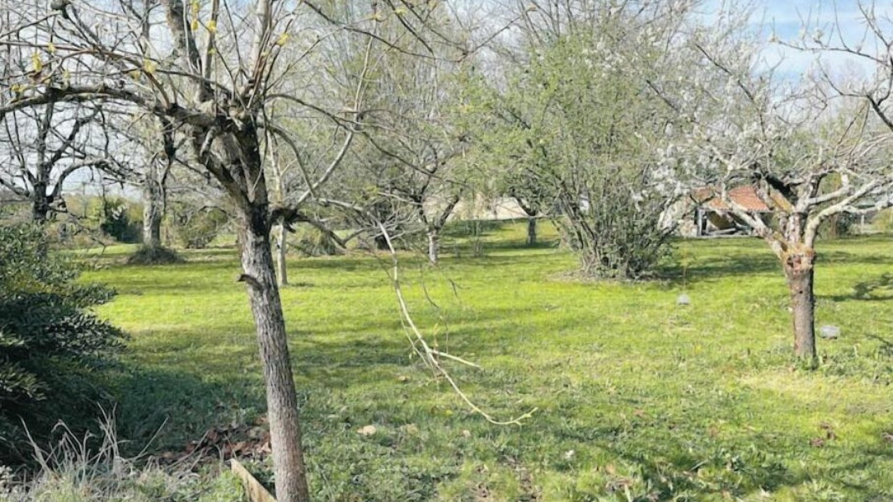 Photo of Outdoor in Nerac