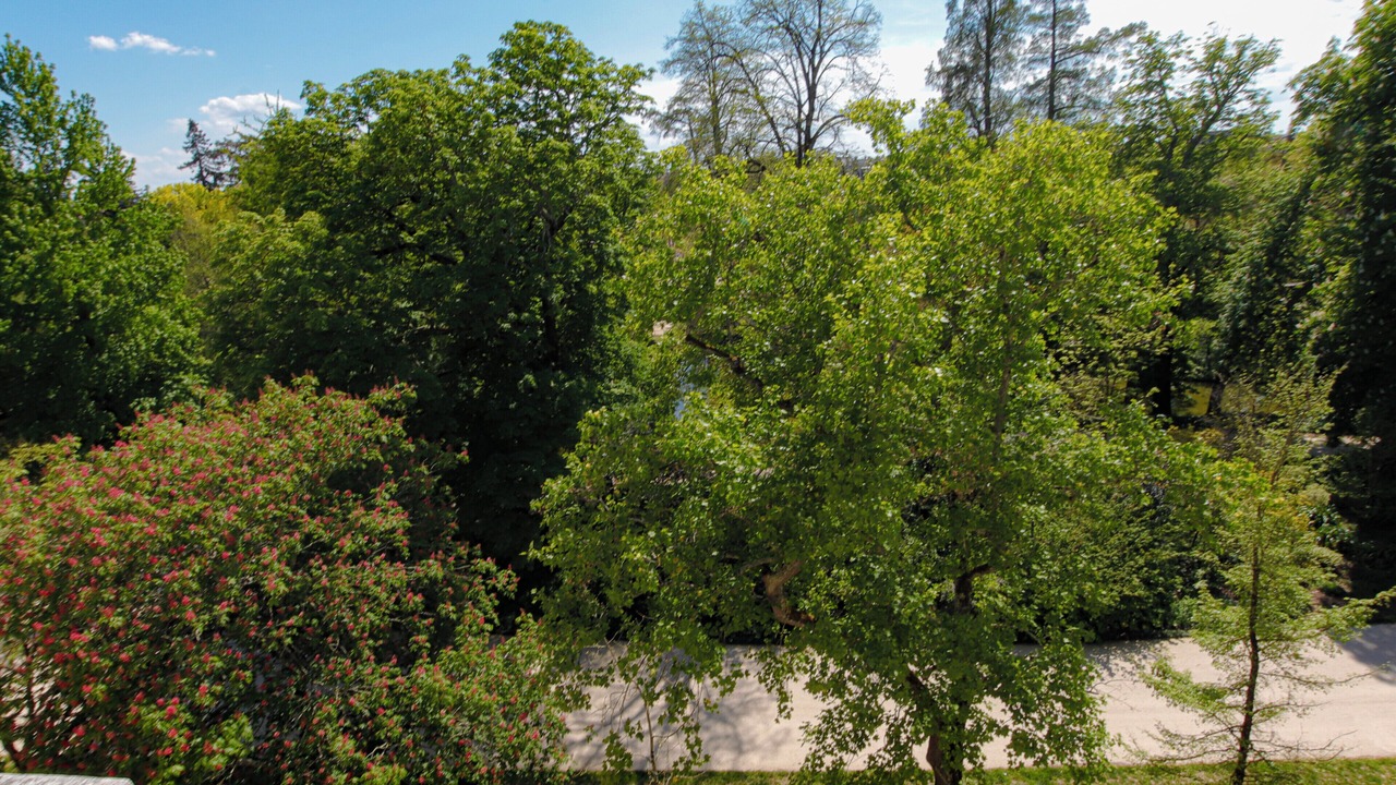 Photo of Outdoor in Grand Parc-Paul Doumer