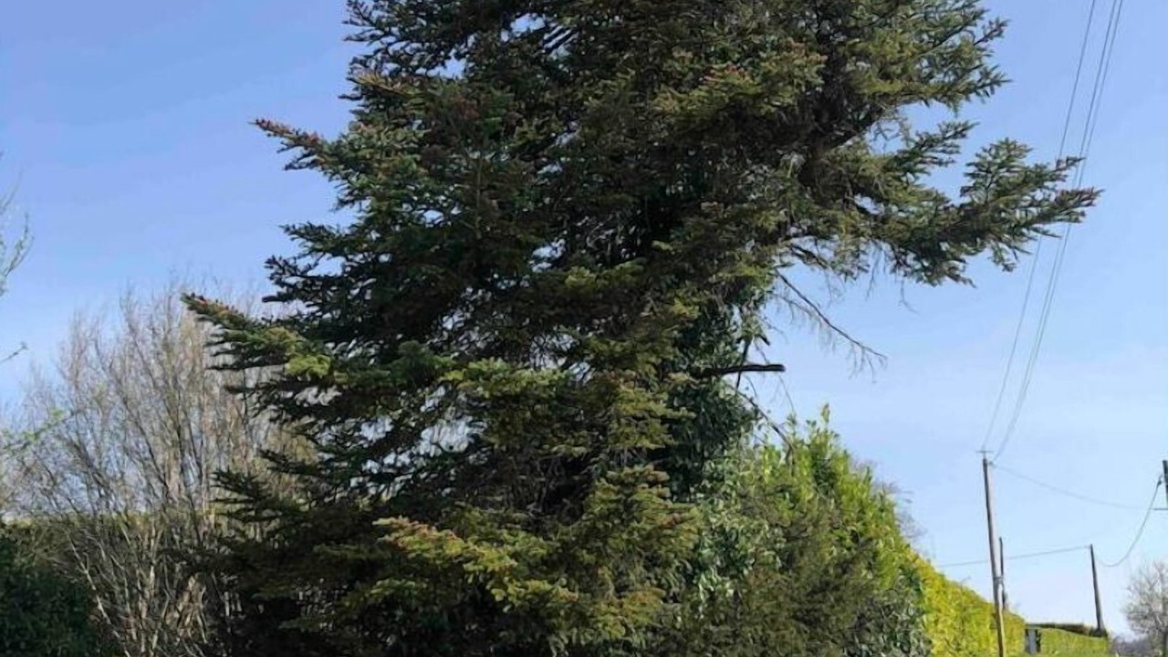 Photo of Outdoor in Riberac