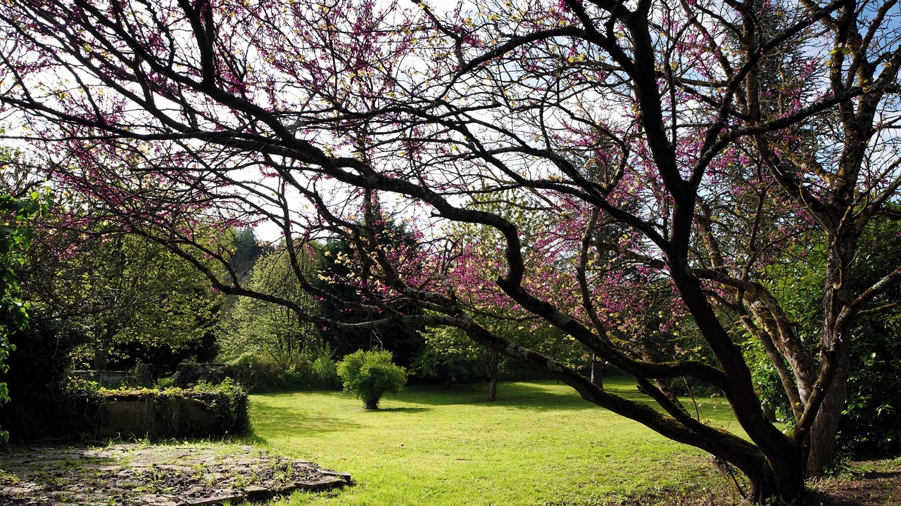 Photo of Outdoor in Saint-Romain