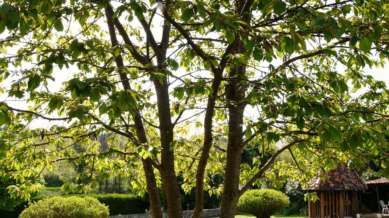 Photo of Outdoor in Saint-Romain