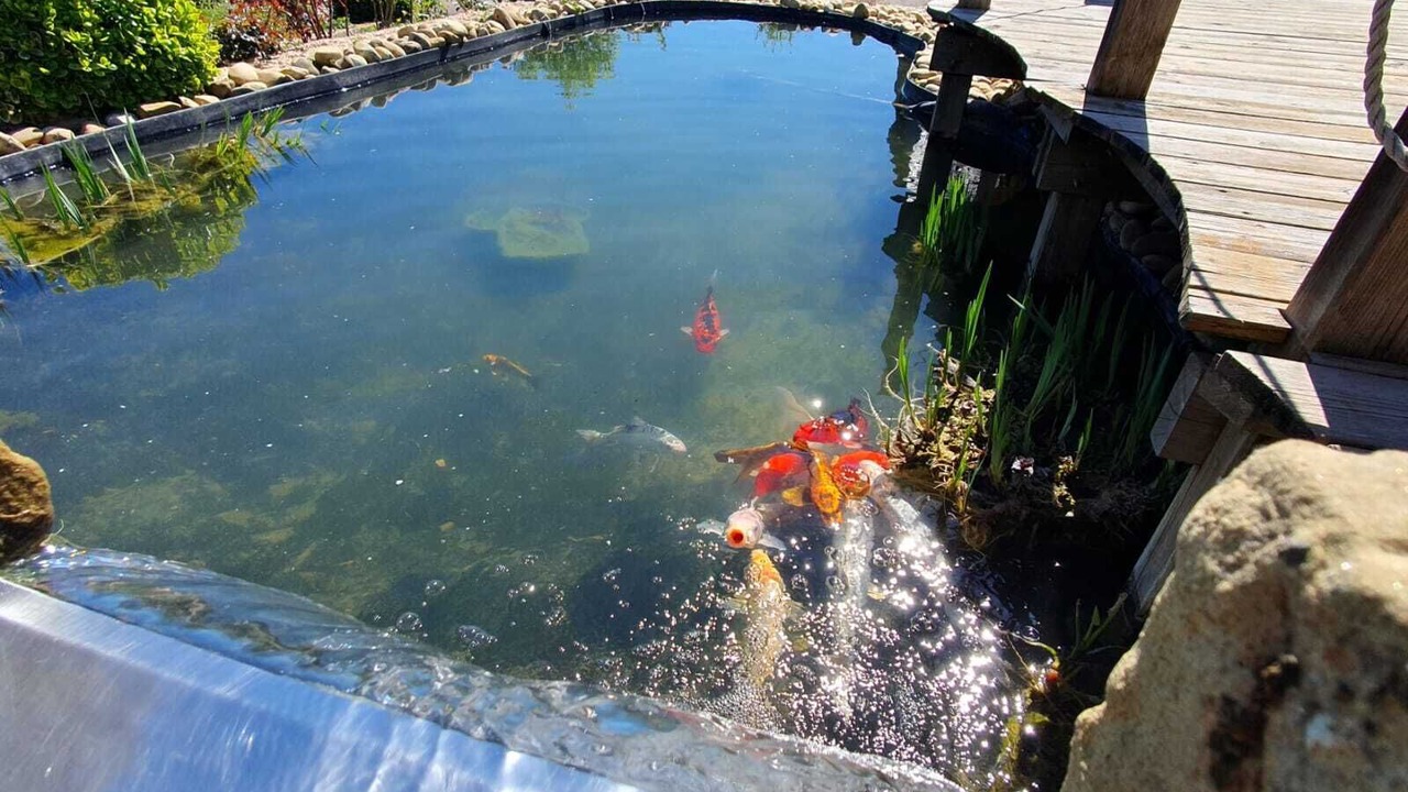 Photo of Outdoor in Lissac-sur-Couze