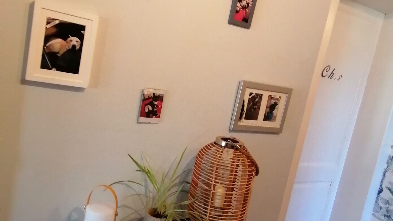 Photo of Others in Cachen