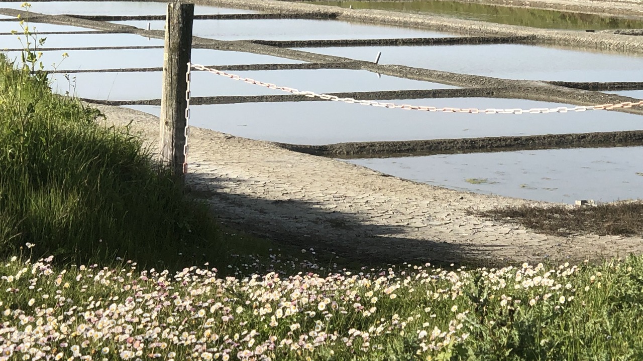 Photo of Outdoor in Nieul-sur-Mer