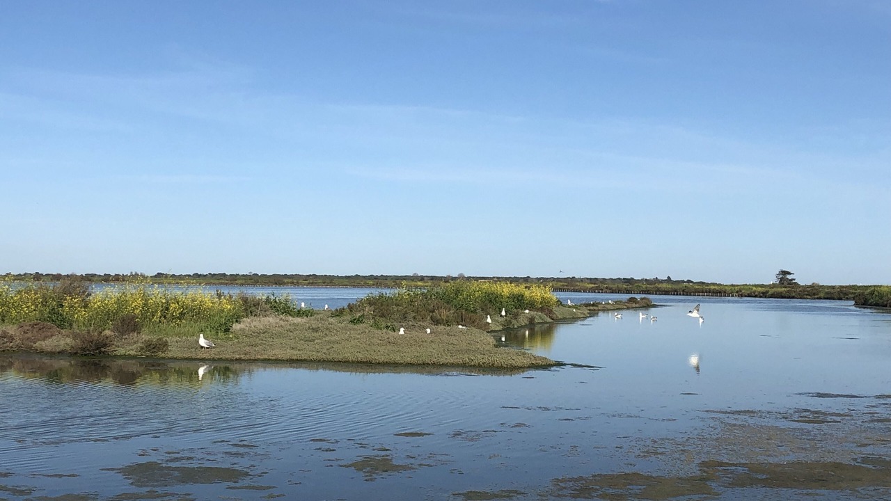 Photo of Outdoor in Nieul-sur-Mer