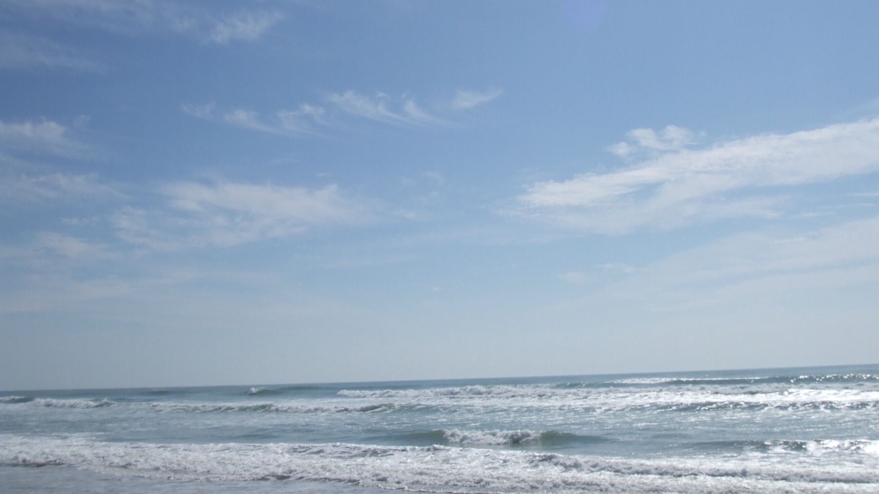 Photo of Others in La Cotiniere