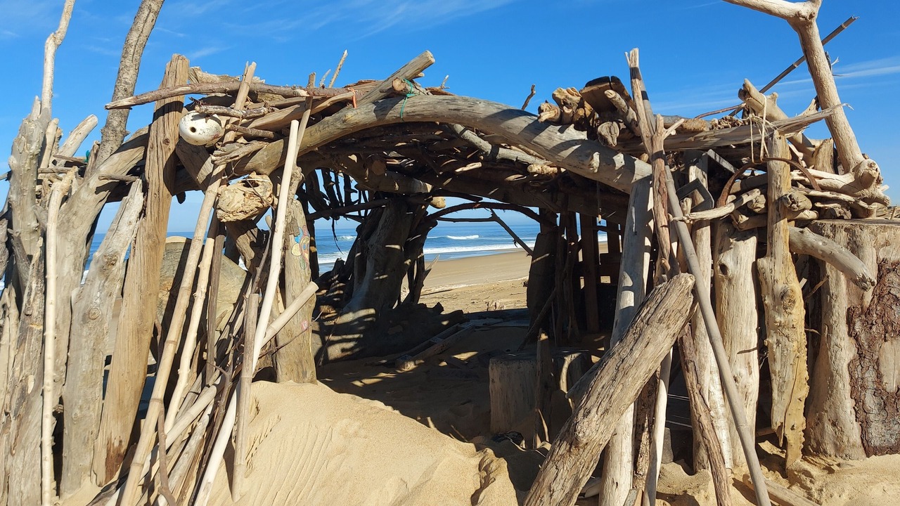 Photo of Others in Labenne-Ocean