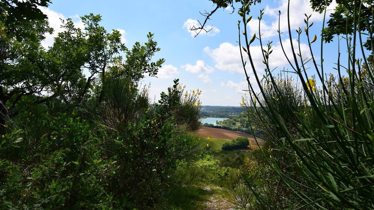 Photo of Others in Laroque-Timbaut