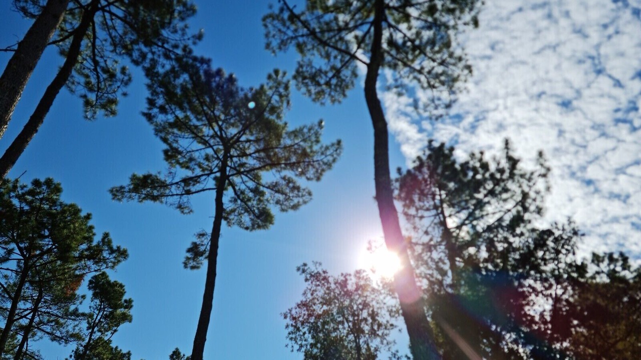 Photo of Outdoor in Saint-Julien-en-Born