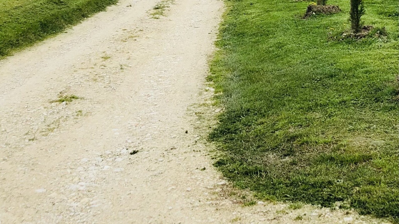 Photo of Outdoor in Boudy-de-Beauregard