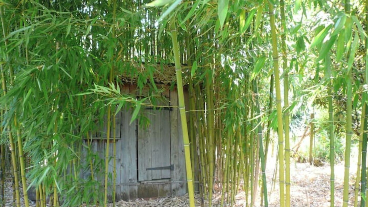 Photo of Outdoor in Saint-Amand-de-Coly