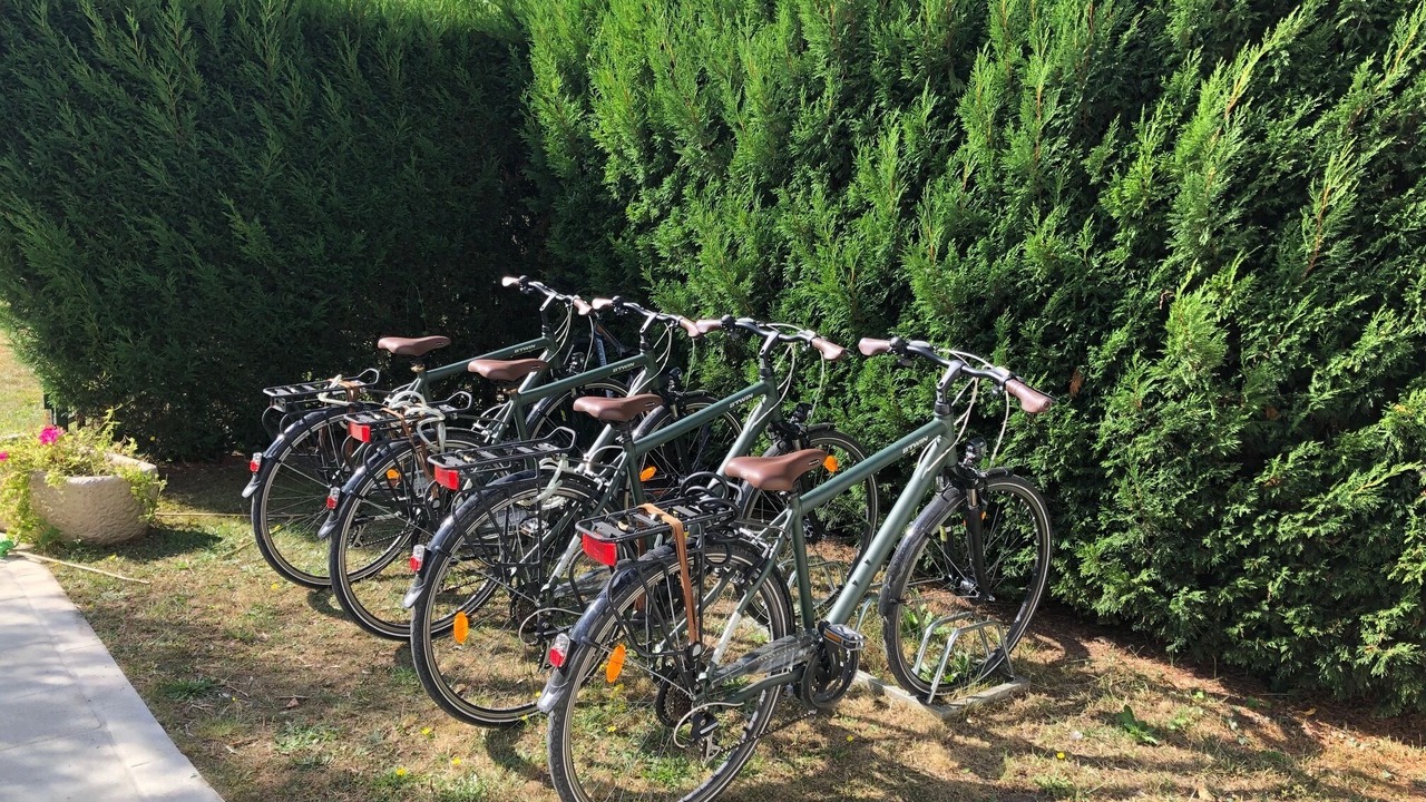 Photo of Outdoor in Saint-Trojan-les-Bains
