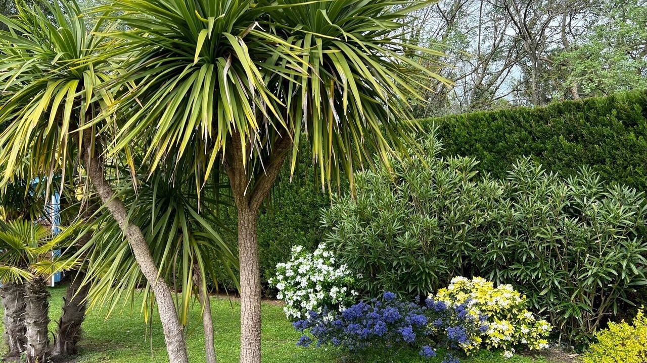Photo of Outdoor in Saint-Trojan-les-Bains