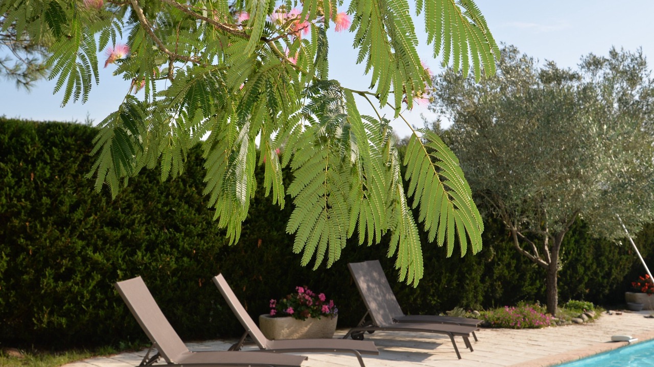 Photo of Outdoor in Saint-Trojan-les-Bains