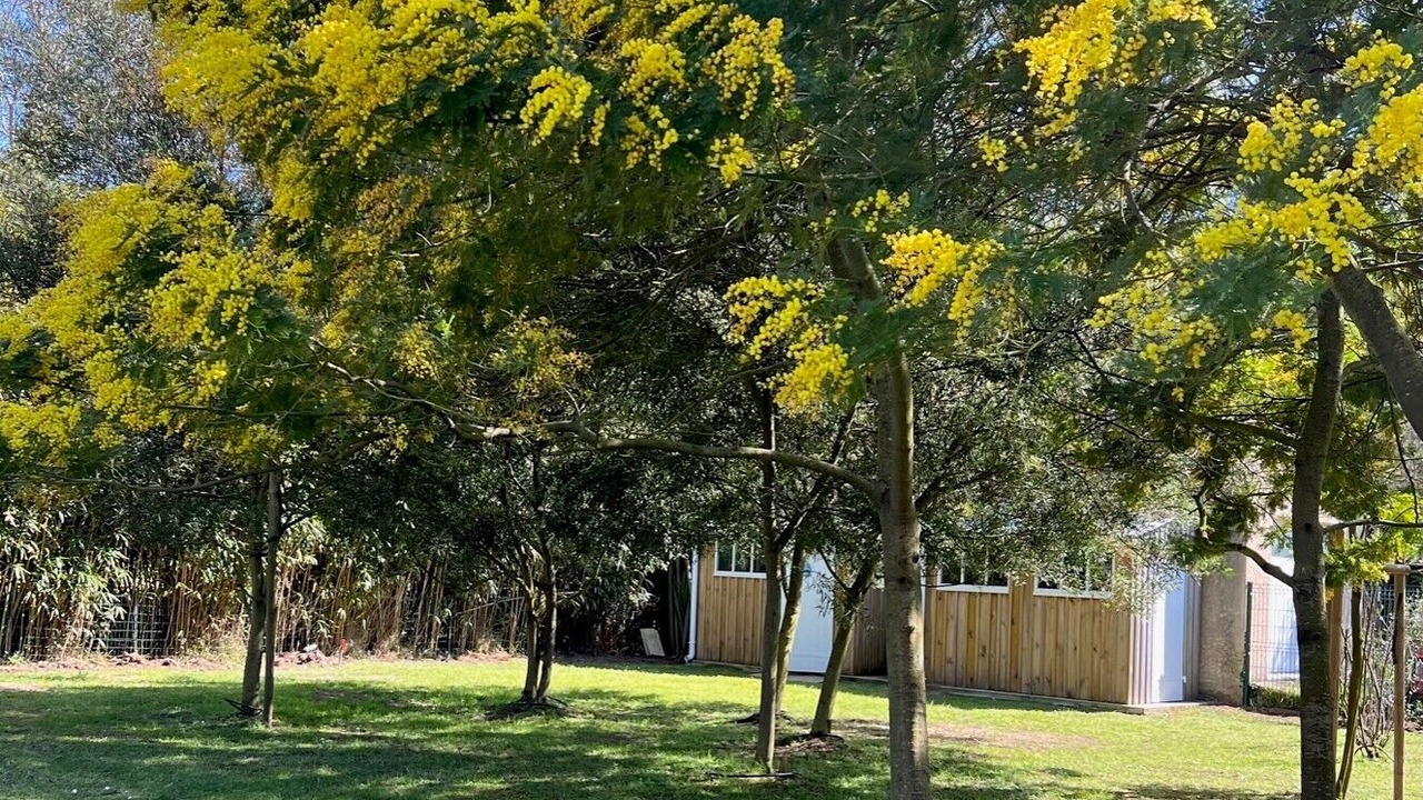 Photo of Outdoor in Saint-Trojan-les-Bains