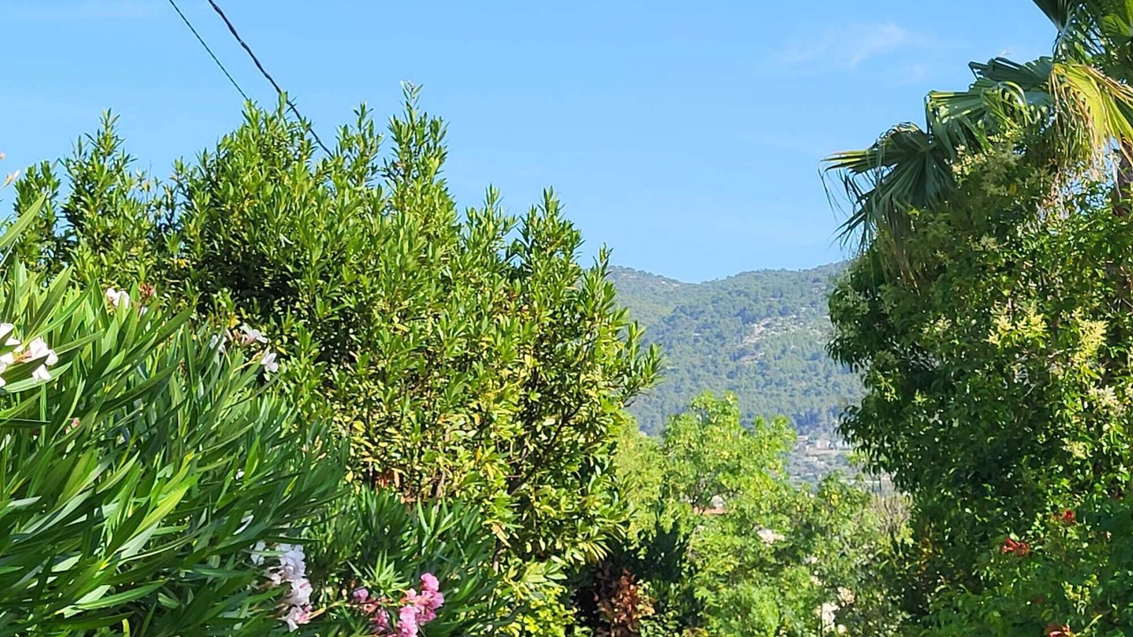 Photo of Outdoor in Le Mourillon