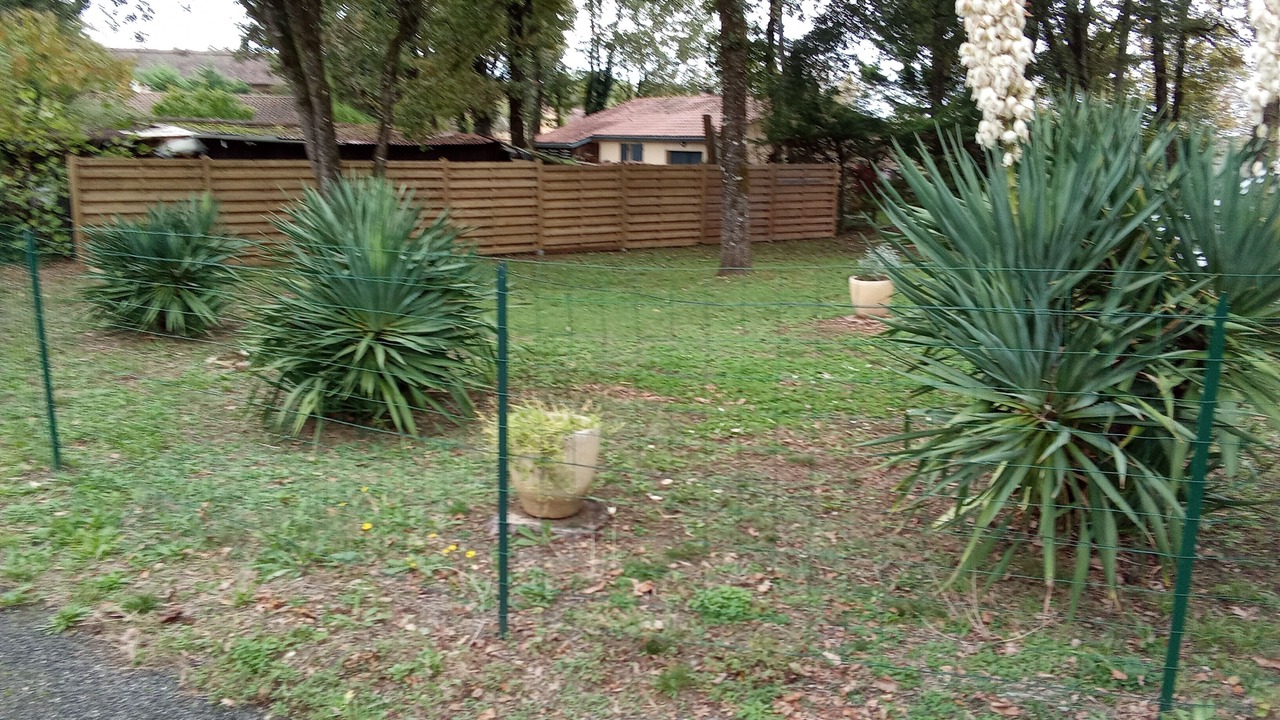 Photo of Outdoor in Cenac-et-Saint-Julien