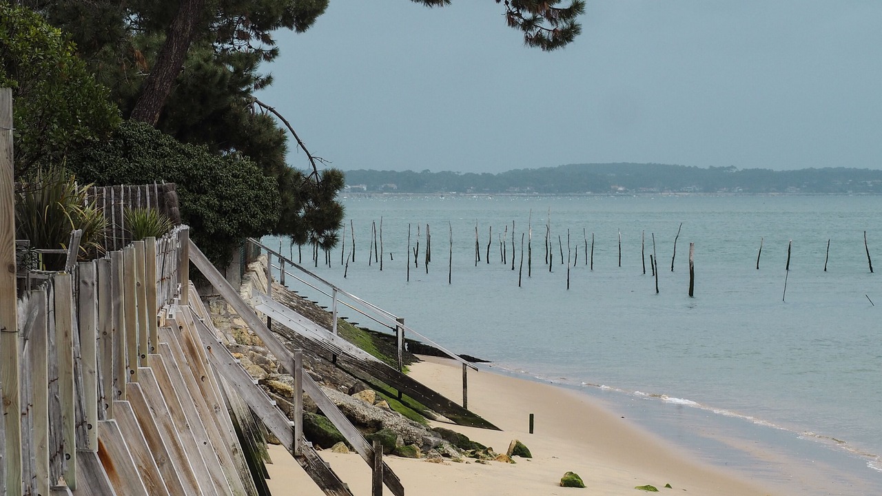 Photo of Others in Le Canon