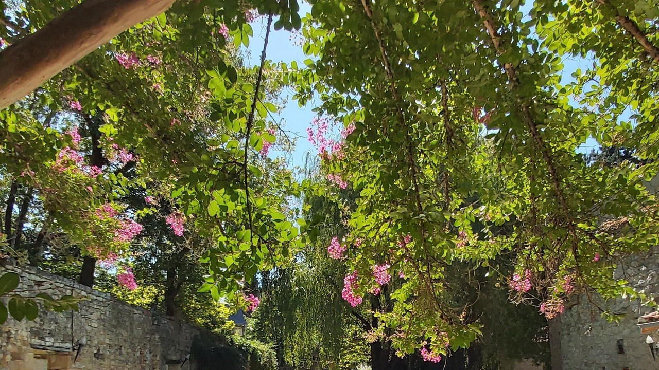 Photo of Outdoor in Fumel