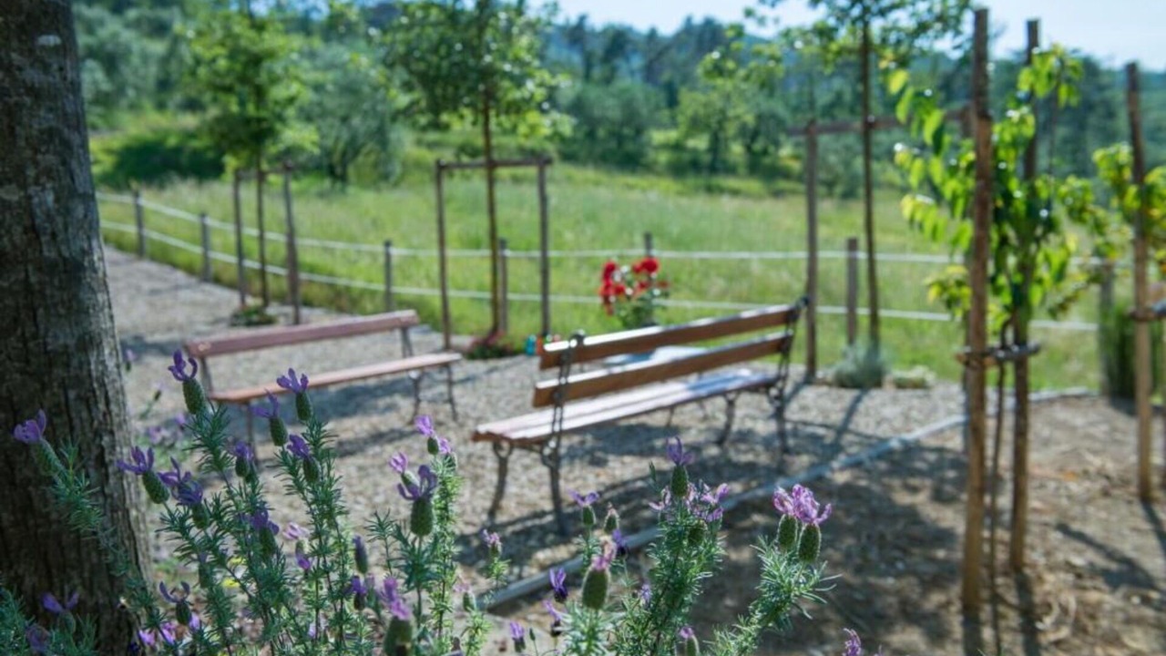 Photo of Outdoor in Cantagrillo