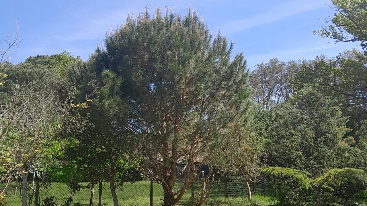 Photo of Outdoor in Messanges