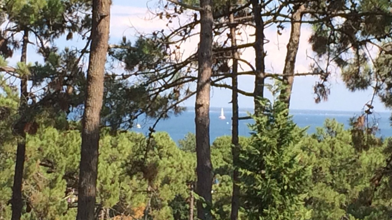 Photo of Outdoor in Piraillan
