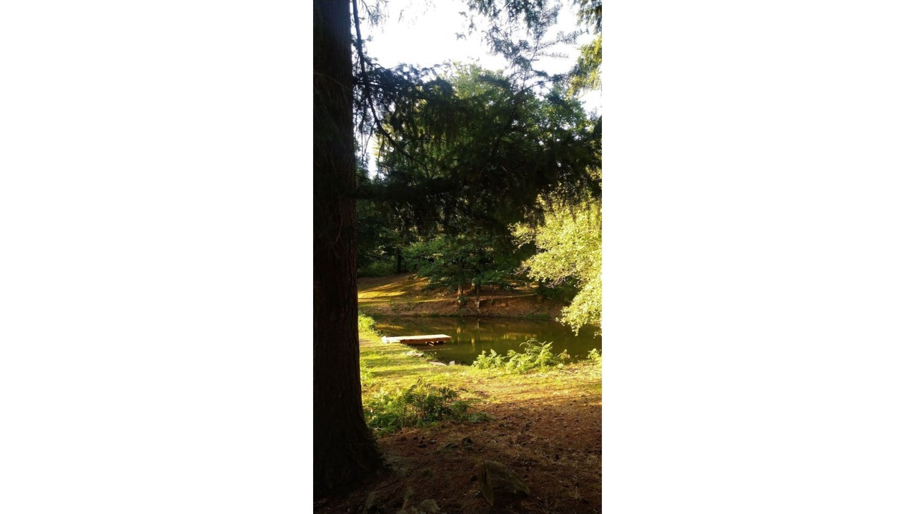 Photo of Outdoor in Saint-Eloy-les-Tuileries